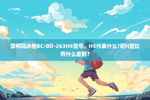 澳柯玛冰柜BC/BD-263HS型号，HS代表什么?和H型比有什么差别？