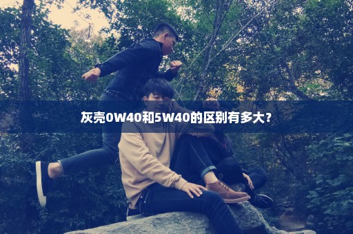 灰壳0W40和5W40的区别有多大？