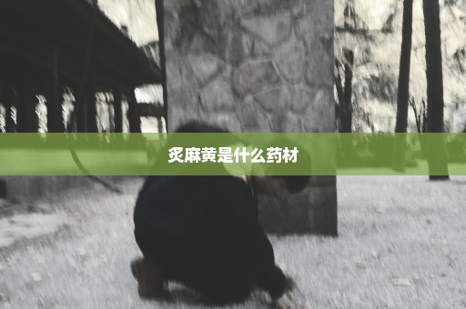 炙麻黄是什么药材