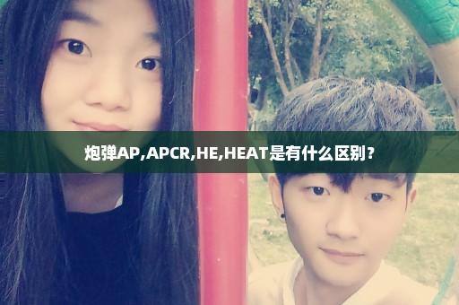 炮弹AP,APCR,HE,HEAT是有什么区别？