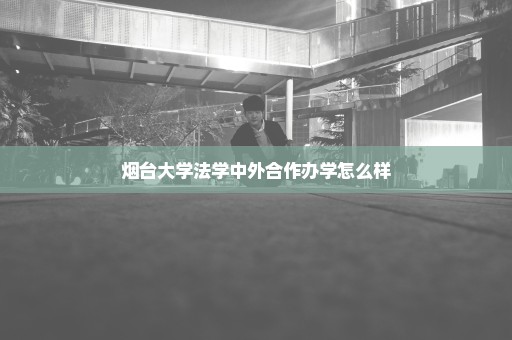 烟台大学法学中外合作办学怎么样