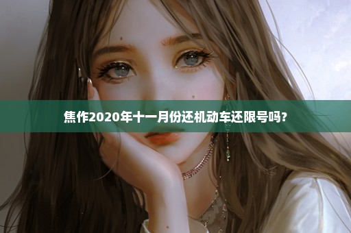 焦作2020年十一月份还机动车还限号吗？