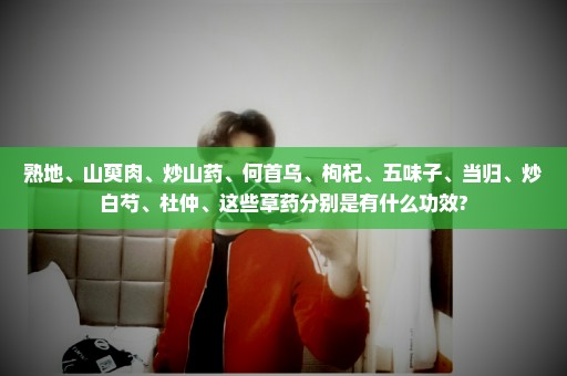 熟地、山萸肉、炒山药、何首乌、枸杞、五味子、当归、炒白芍、杜仲、这些草药分别是有什么功效?