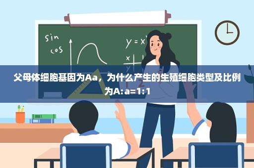 父母体细胞基因为Aa，为什么产生的生殖细胞类型及比例为A:a=1:1