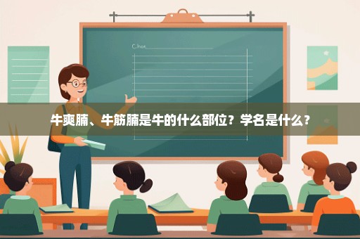 牛爽腩、牛筋腩是牛的什么部位？学名是什么？