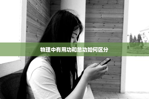 物理中有用功和总功如何区分