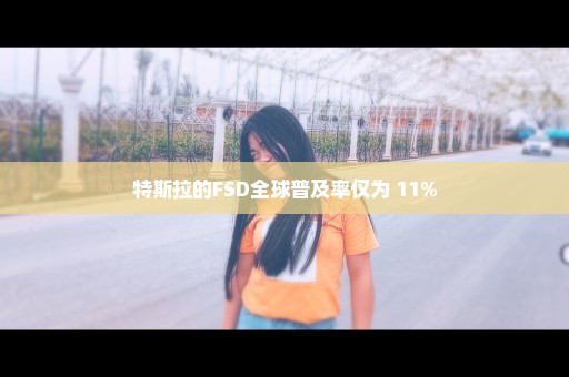 特斯拉的FSD全球普及率仅为 11%