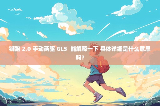 狮跑 2.0 手动两驱 GLS  能解释一下 具体详细是什么意思吗？