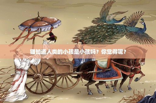 猫知道人类的小孩是小孩吗？你觉得呢？