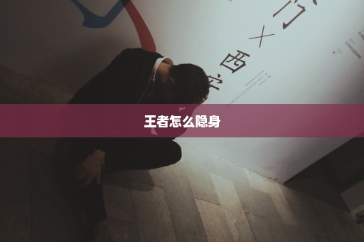 王者怎么隐身