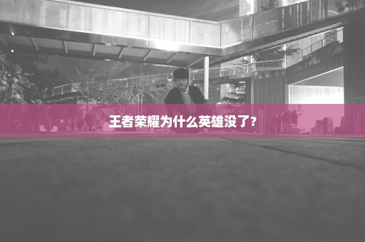 王者荣耀为什么英雄没了？