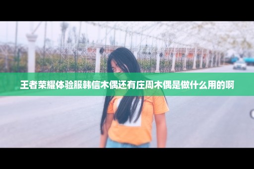 王者荣耀体验服韩信木偶还有庄周木偶是做什么用的啊