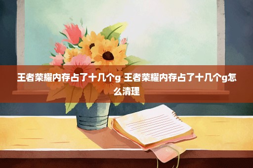 王者荣耀内存占了十几个g 王者荣耀内存占了十几个g怎么清理