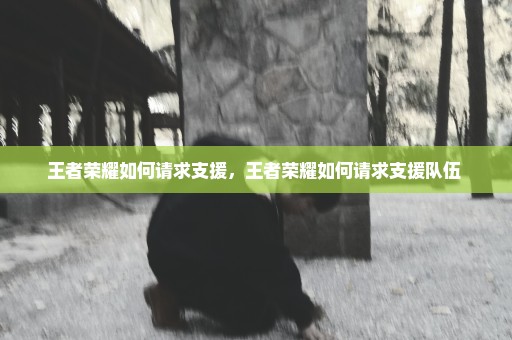 王者荣耀如何请求支援，王者荣耀如何请求支援队伍 