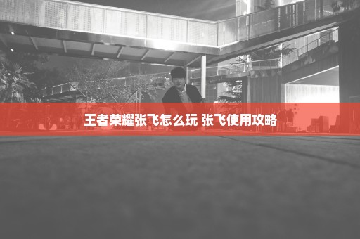 王者荣耀张飞怎么玩 张飞使用攻略