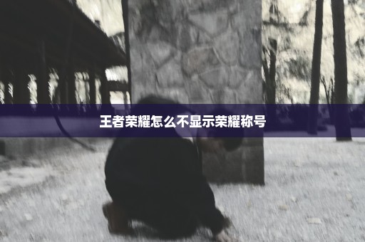 王者荣耀怎么不显示荣耀称号