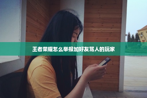 王者荣耀怎么举报加好友骂人的玩家