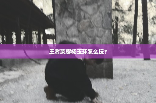 王者荣耀杨玉环怎么玩？