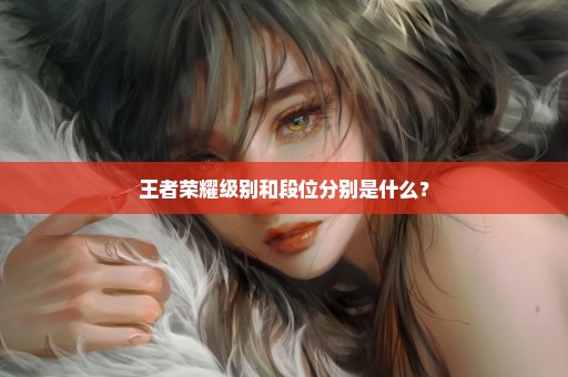 王者荣耀级别和段位分别是什么？