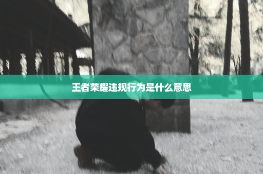 王者荣耀违规行为是什么意思