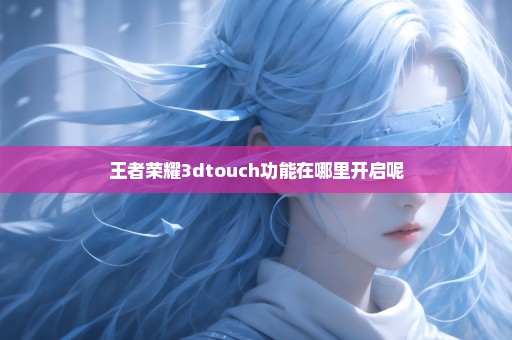 王者荣耀3dtouch功能在哪里开启呢