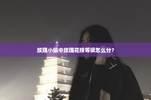 玫瑰小镇中玫瑰花按等级怎么分？