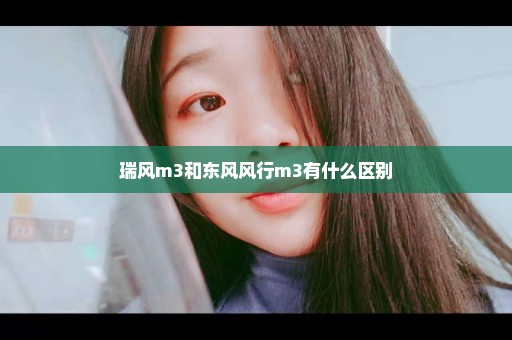 瑞风m3和东风风行m3有什么区别