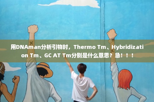 用DNAman分析引物时，Thermo Tm、Hybridization Tm、GC+AT Tm分别是什么意思？急！！！