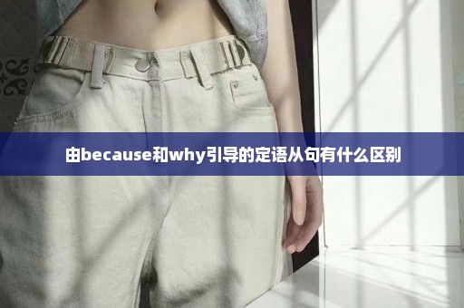 由because和why引导的定语从句有什么区别