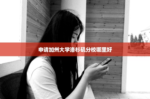 申请加州大学洛杉矶分校哪里好