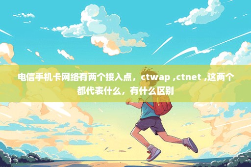 电信手机卡网络有两个接入点，ctwap ,ctnet ,这两个都代表什么，有什么区别