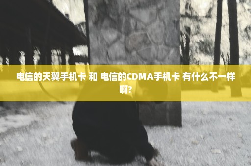 电信的天翼手机卡 和 电信的CDMA手机卡 有什么不一样啊?