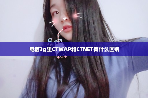 电信3g里CTWAP和CTNET有什么区别