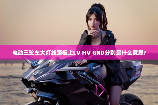 电动三轮车大灯线路板上LV HV GND分别是什么意思?