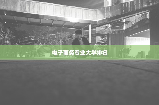 电子商务专业大学排名