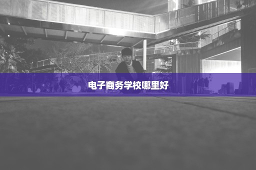 电子商务学校哪里好