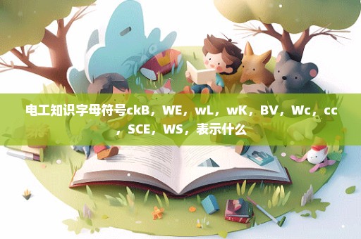 电工知识字母符号ckB，WE，wL，wK，BV，Wc，cc，SCE，WS，表示什么