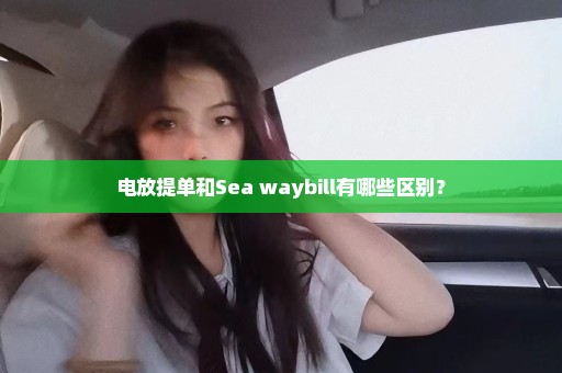 电放提单和Sea waybill有哪些区别？