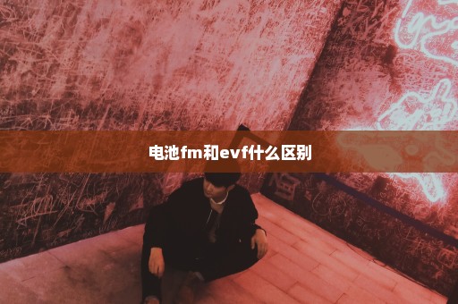 电池fm和evf什么区别