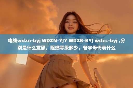 电线wdzn-byj WDZN-YJY WDZB-BYJ wdzc-byj ,分别是什么意思，阻燃等级多少，各字母代表什么