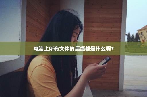 电脑上所有文件的后缀都是什么啊？