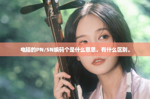 电脑的PN/SN编码个是什么意思。有什么区别。