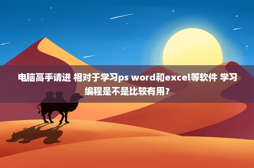 电脑高手请进 相对于学习ps word和excel等软件 学习编程是不是比较有用？