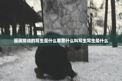 画画常说的写生是什么意思什么叫写生写生是什么