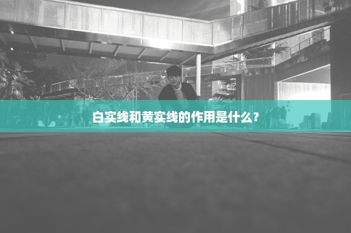 白实线和黄实线的作用是什么？