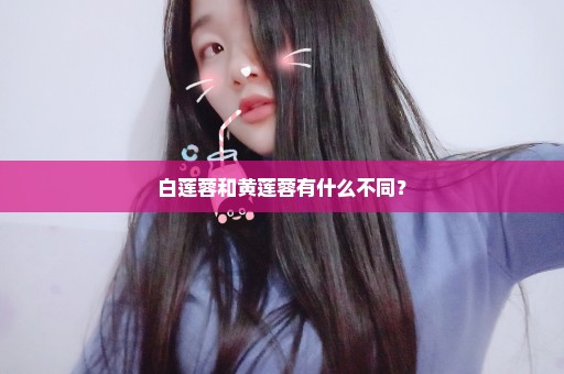 白莲蓉和黄莲蓉有什么不同？