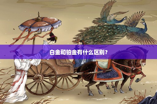 白金和铂金有什么区别？