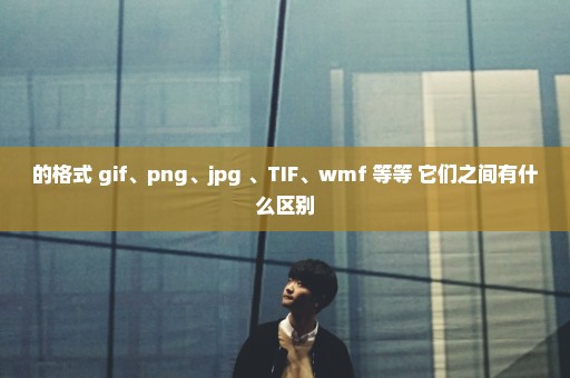 的格式 gif、png、jpg 、TIF、wmf 等等 它们之间有什么区别