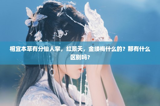 相宜本草有分仙人掌，红景天，金缕梅什么的？那有什么区别吗？