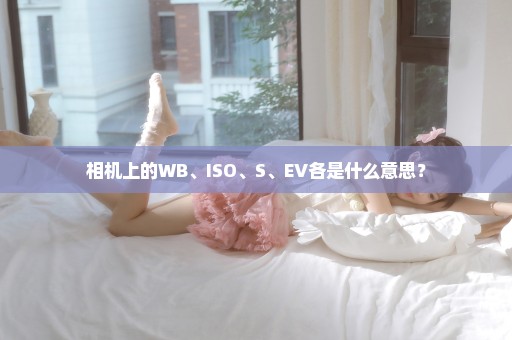 相机上的WB、ISO、S、EV各是什么意思？